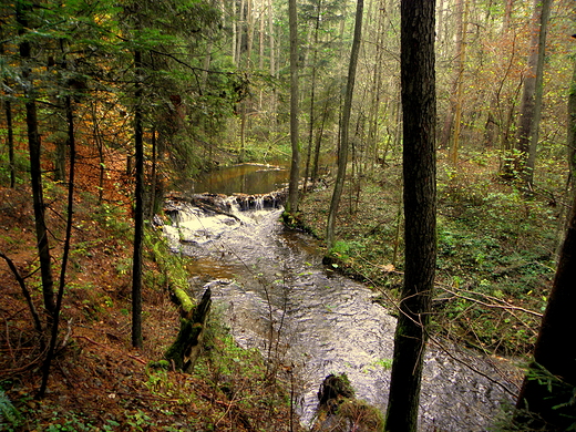 rezerwat nad Szumem