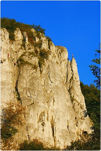 Dolina Bdkowska - Sokolica