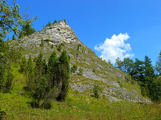 Mae Pieniny. Jaworki - wapienne skaki w rezerwacie