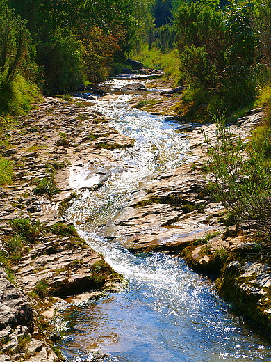 Mae Pieniny. Jaworki - rezerwat Biaa Woda