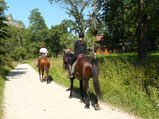 Mae Pieniny. Jaworki - na szlaku w rezerwacie