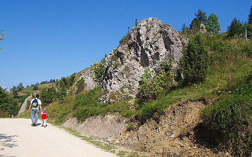 Mae Pieniny. Jaworka - na szlaku w rezerwacie