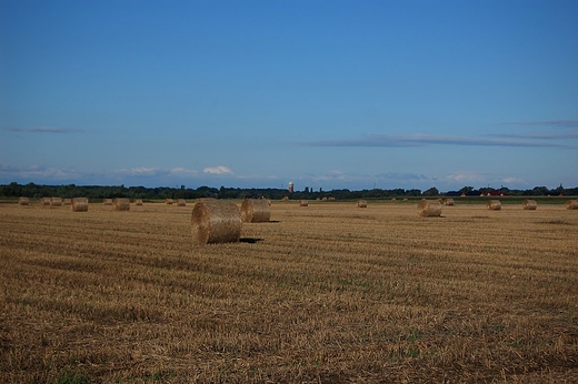 Krapkowice - Krajobraz po niwach