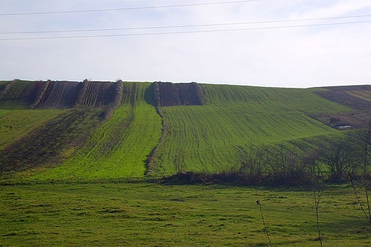 pola nieopodal Bobliwa