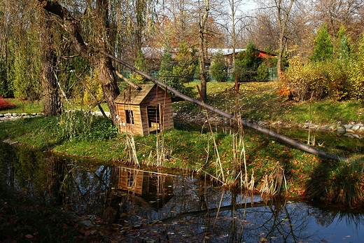 W chorzowskim zoo