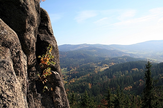 Widok z Sokolika