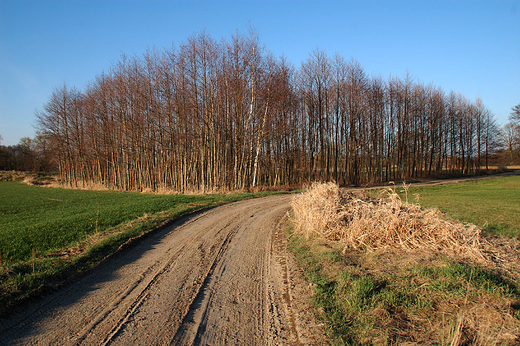 Krapkowice - Nad Osobog