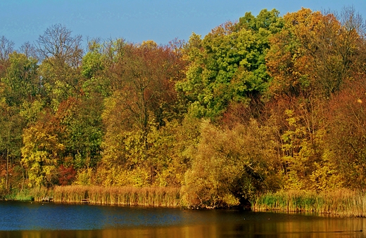 Jesienne kolorki nad Gopem