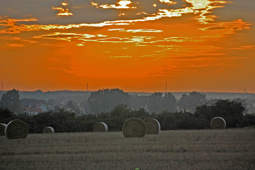 Malnia - Wieczorem krajobraz po niwach