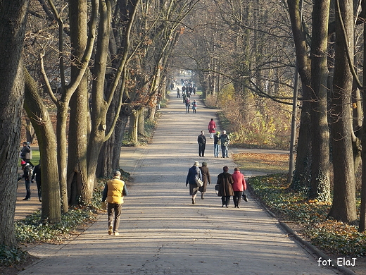 Warszawa. Listopad w azienkach.