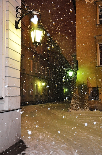 Starwka w niegu. Warszawa