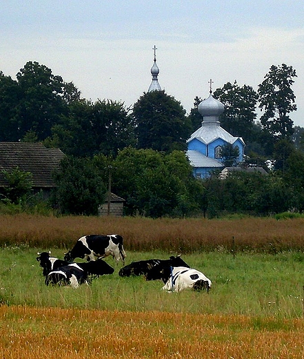 Pasynki - sielankowy dzie