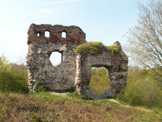 Ruiny zamku Esterki