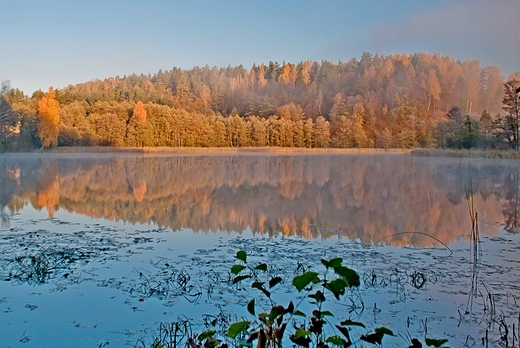 U stp Zamkowej Gry w Suwalskim Parku Krajobrazowym.