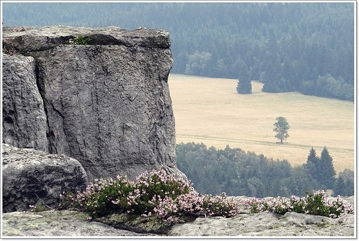 Szczeliniec Wielki