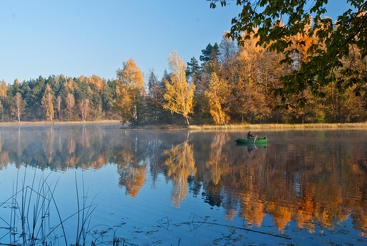 W drodze na owisko I