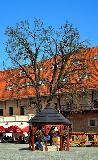 Racibrz. Zamek ksit raciborskich-studnia.