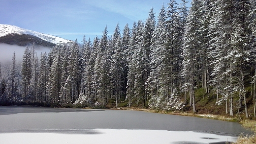 tatry