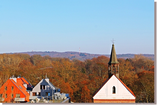 Widok z dachu ratusza