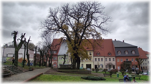 Rynek w Chemsku lskim