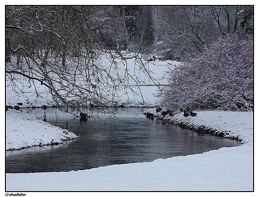 Gouchw - park, wije si rzeczka, a na brzegu koczuj kaczuchy