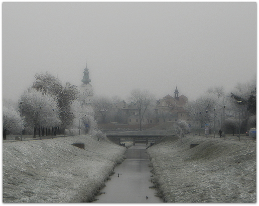 widok na zamojsk Starwk znad abuki