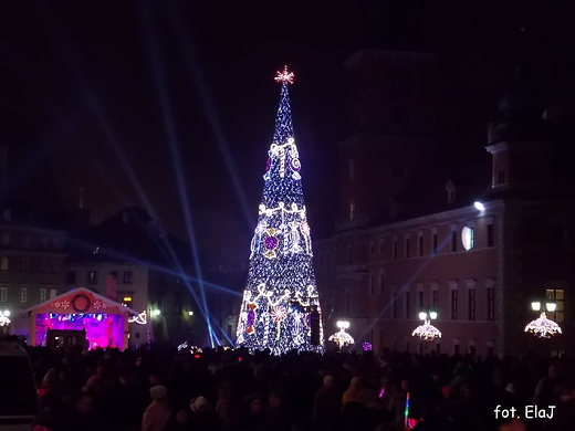 Warszawa ju witeczna. Choinka na Placu Zamkowym.