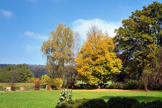 Muzeum H. Sienkiewicza w Oblgorku. Park jesieni.