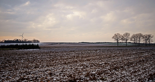 Kujawski widok.