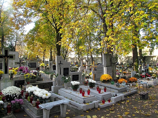 Cmentarz w. Jakuba