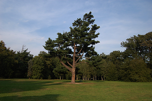 Moszna - Park paacowy