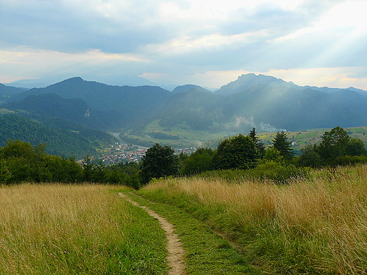 Mae Pieniny. W drodze do schroniska pod Berenikiem (843 m n.p.m.)