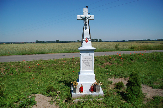 Rogw Opolski - Krzy przydrony