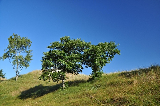 Wybrzee w okolicach Czopina