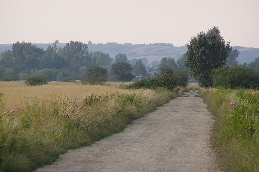 Widok na Magierowsk Gr z okolic Brzostkowa