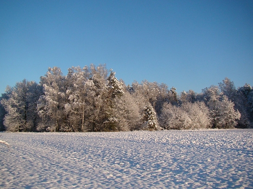 witeczny poranek