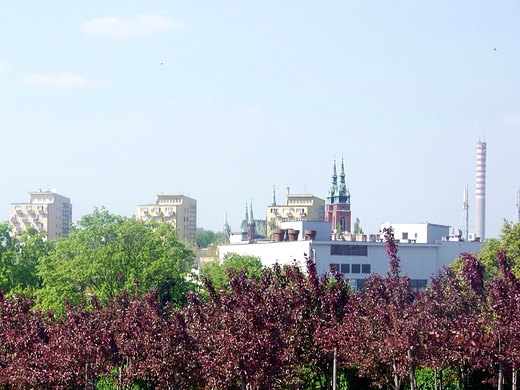 widoki z Paacu Biskupw - Kielce