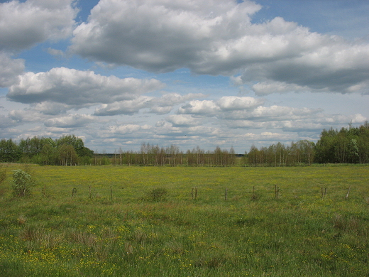 Podlasie wiosn