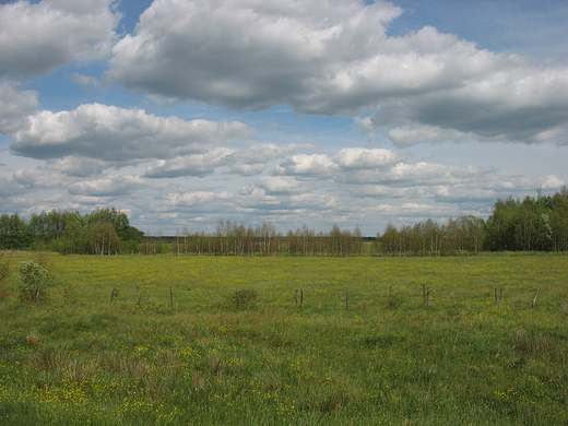 Podlasie wiosn