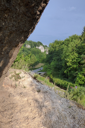 Maczuga Herkulesa cd. Maczuga to jest to co ciemnego w naroniku.