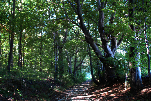 Gra wietej Anny - Park Krajobrazowy