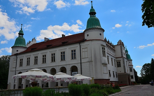 Zamek w Baranowie Sandomierskim