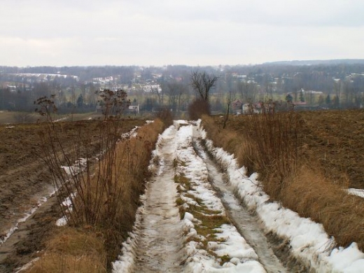 Panorama na Dzierzkowice