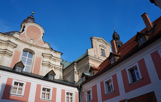 Ld. Fragment pocysterskiego klasztoru-widok z wirydarza.