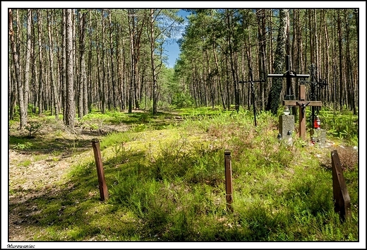 Murowaniec - z moich wypraw rowerowych _ Natura 2000_ mogiy powstacw