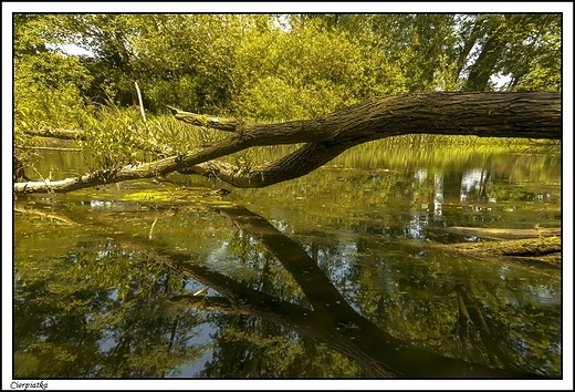 Cierpiatka - Natura 2000 _ w dolinie rzeki Swdrni