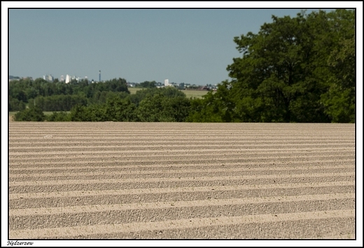 Ndzerzew - Natura 2000 _ widok na Kalisz