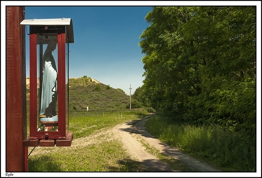 Dbe - Natura 2000 _ kapliczka na drzewie