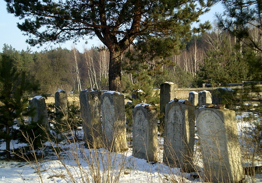 cmentarz ydowski