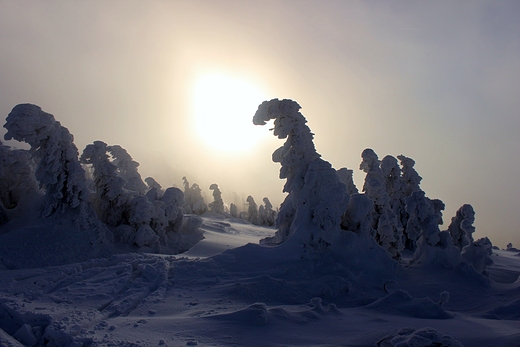 Pilsko-niena kraina